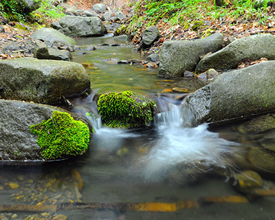 Cours d'eau