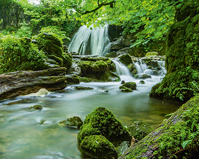 Naturkräfte erleben und aufnehmen